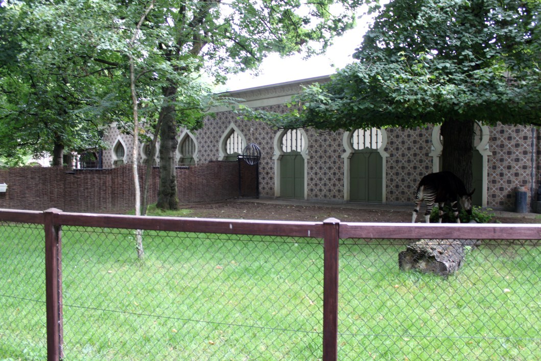 ZOO Antwerpen - Okapi Breeding Centre