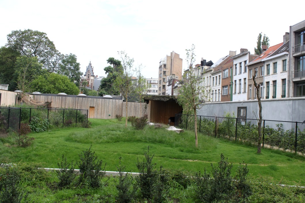 ZOO Antwerpen - Okapi Breeding Centre