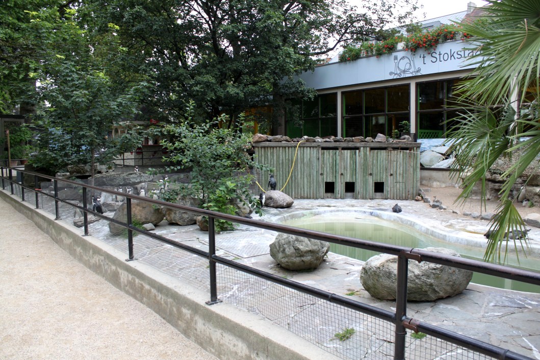 ZOO Antwerpen - Penguin exhibit