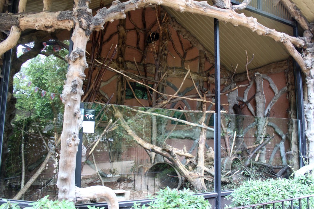 ZOO Antwerpen - Porcupine exhibit