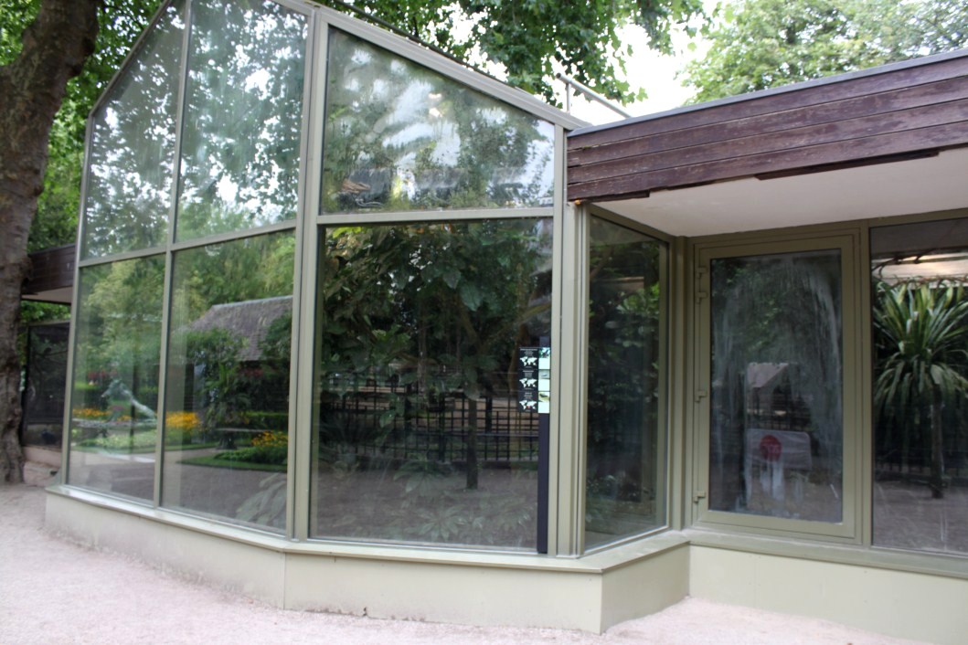 ZOO Antwerpen - Rainforest aviary