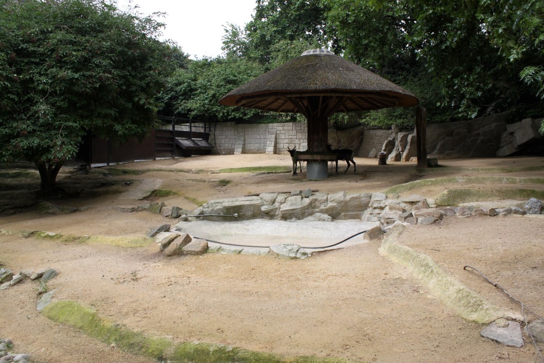 ZOO Antwerpen - Reindeer exhibit