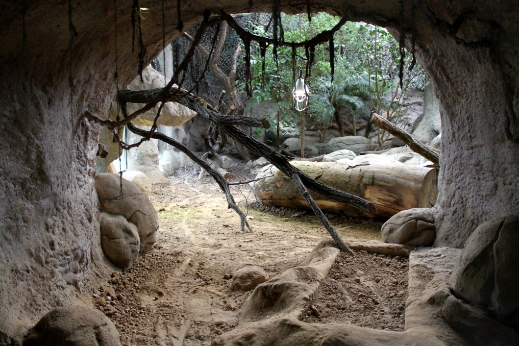 ZOO Antwerpen - Reptile House (Komodo dragon)