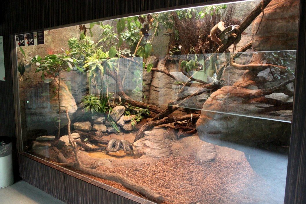 ZOO Antwerpen - Reptile House (Madagascar)