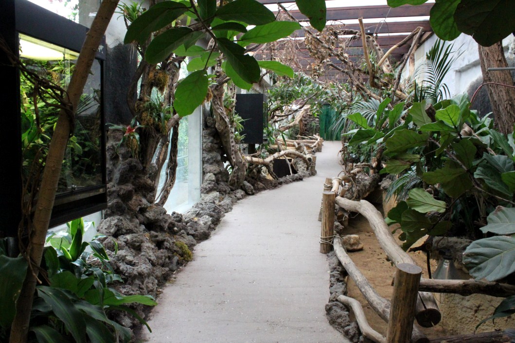 ZOO Antwerpen - Reptile House (Walkthrough exhibit)