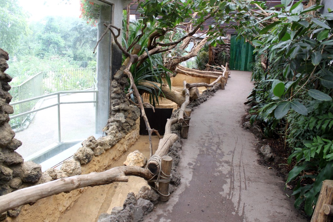 ZOO Antwerpen - Reptile House (Walkthrough exhibit)