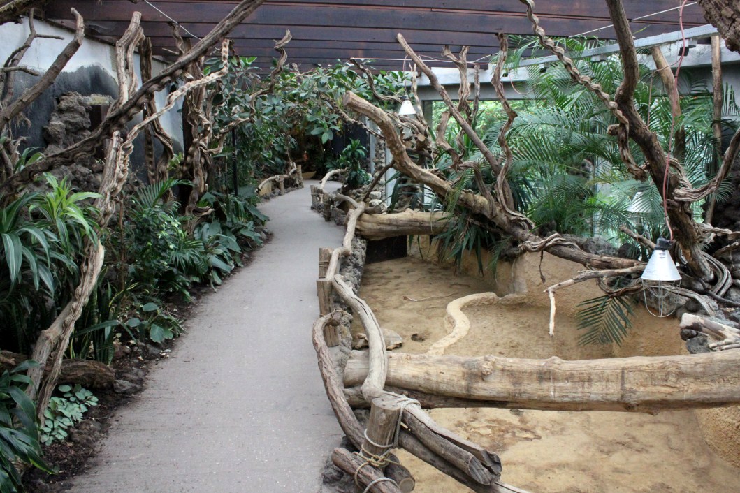 ZOO Antwerpen - Reptile House (Walkthrough exhibit)