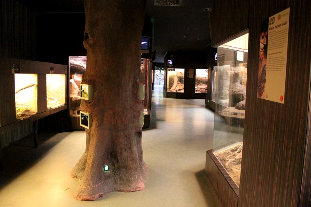 ZOO Antwerpen - Reptile House