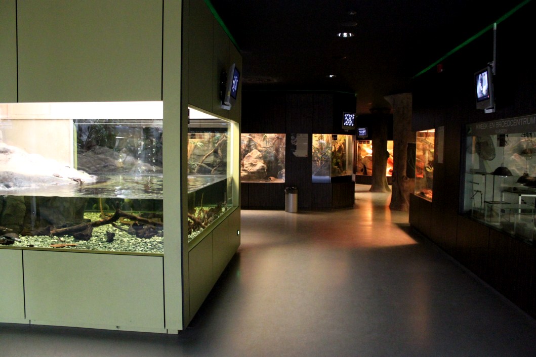ZOO Antwerpen - Reptile House