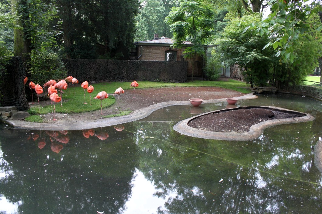 ZOO Antwerpen - Small Bird House (Flamingos)