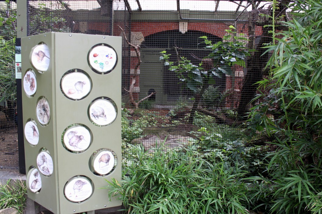 ZOO Antwerpen - Small Bird House (Kiwi)