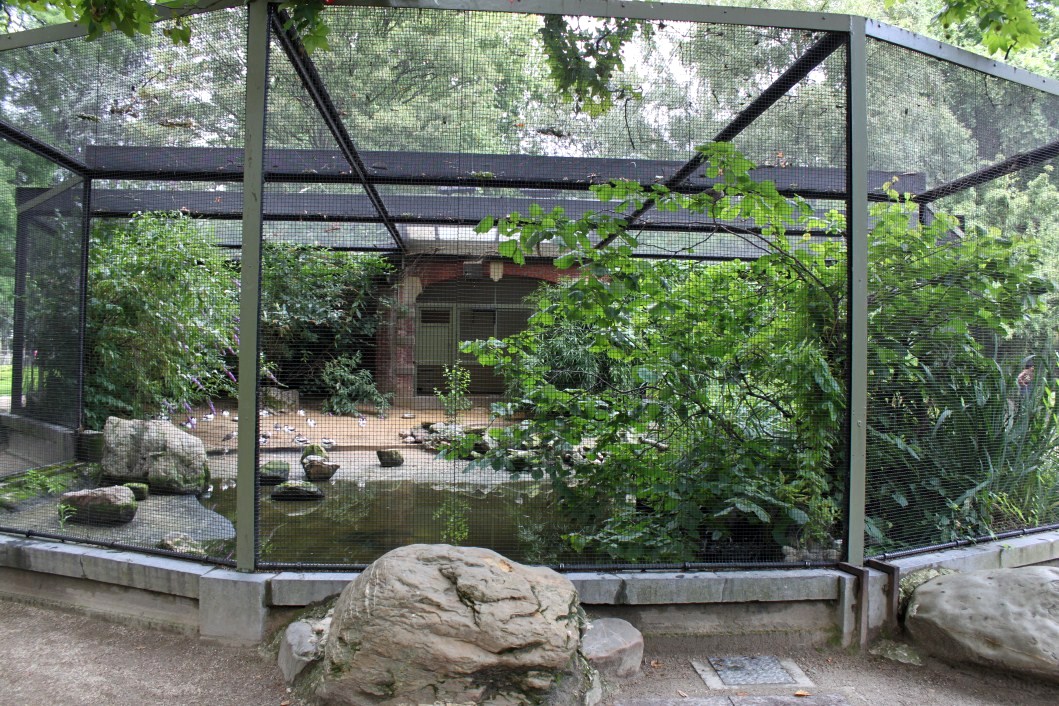ZOO Antwerpen - Small Bird House (Shore birds)
