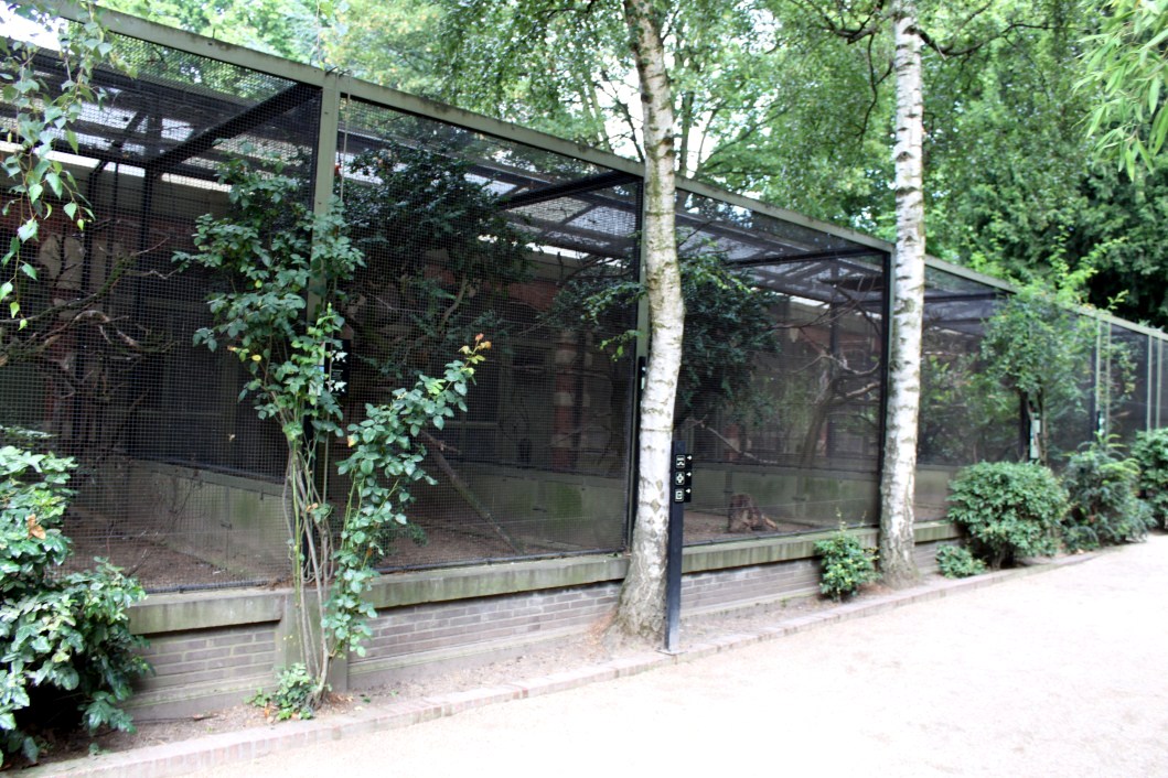 ZOO Antwerpen - Small Bird House