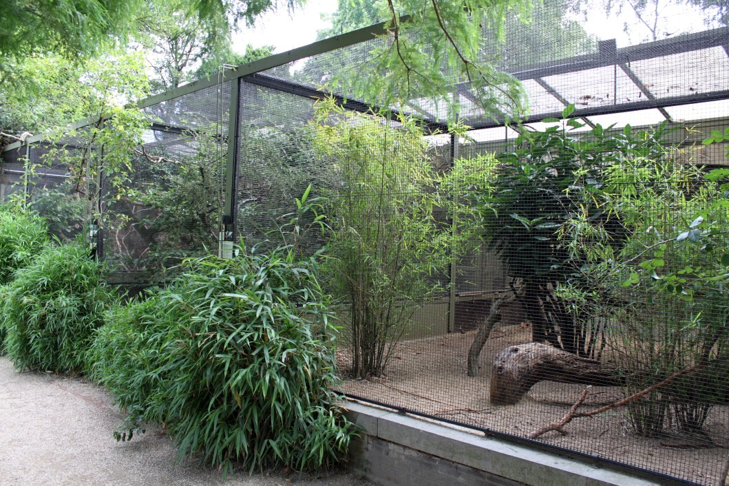 ZOO Antwerpen - Small Bird House