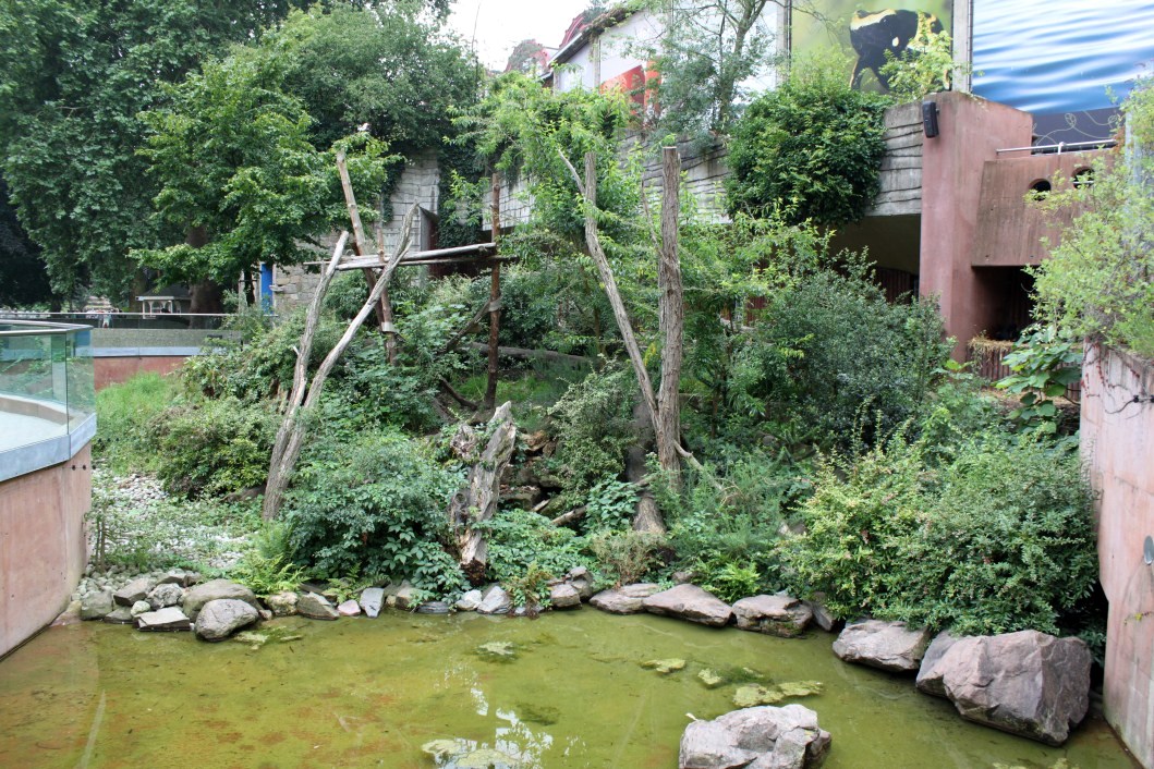ZOO Antwerpen - Spectacled bear exhibit
