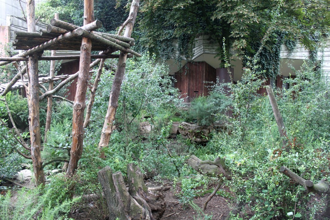 ZOO Antwerpen - Spectacled bear exhibit