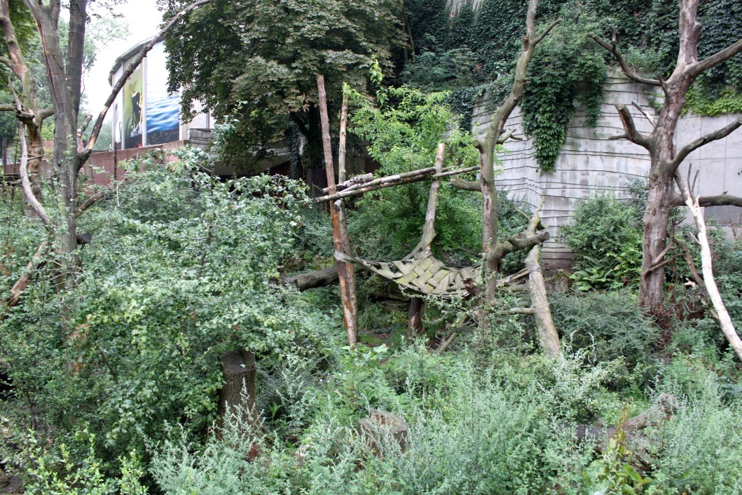 ZOO Antwerpen - Spectacled bear exhibit