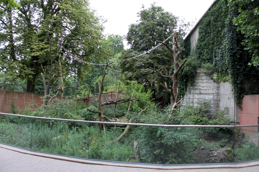 ZOO Antwerpen - Spectacled bear exhibit