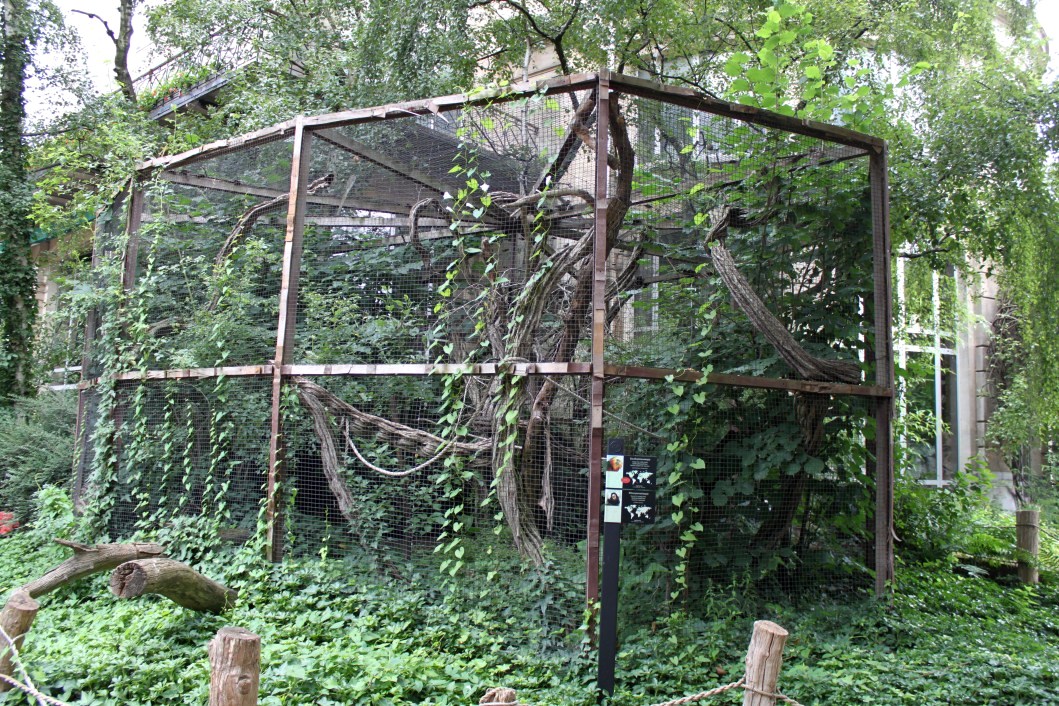 ZOO Antwerpen - Tamarin/marmoset exhibit