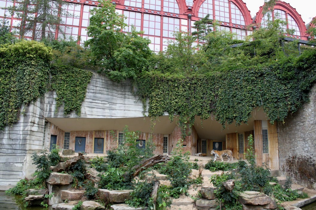 ZOO Antwerpen - Tiger and Central Station