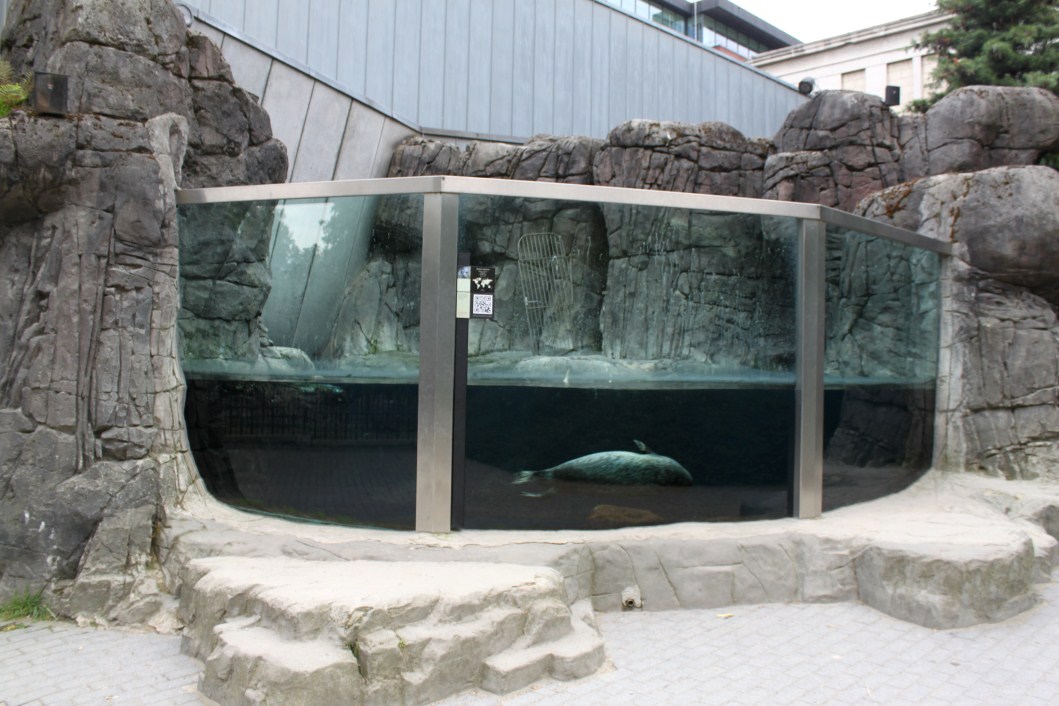 ZOO Antwerpen - Vriesland (Seal exhibit)