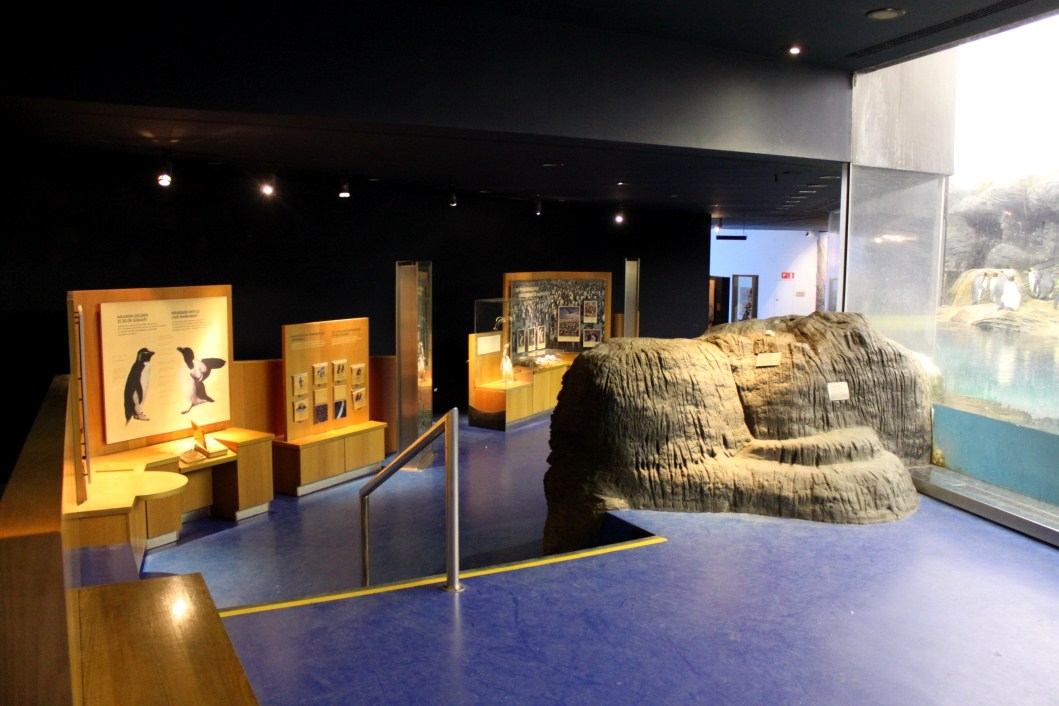 ZOO Antwerpen - Vriesland