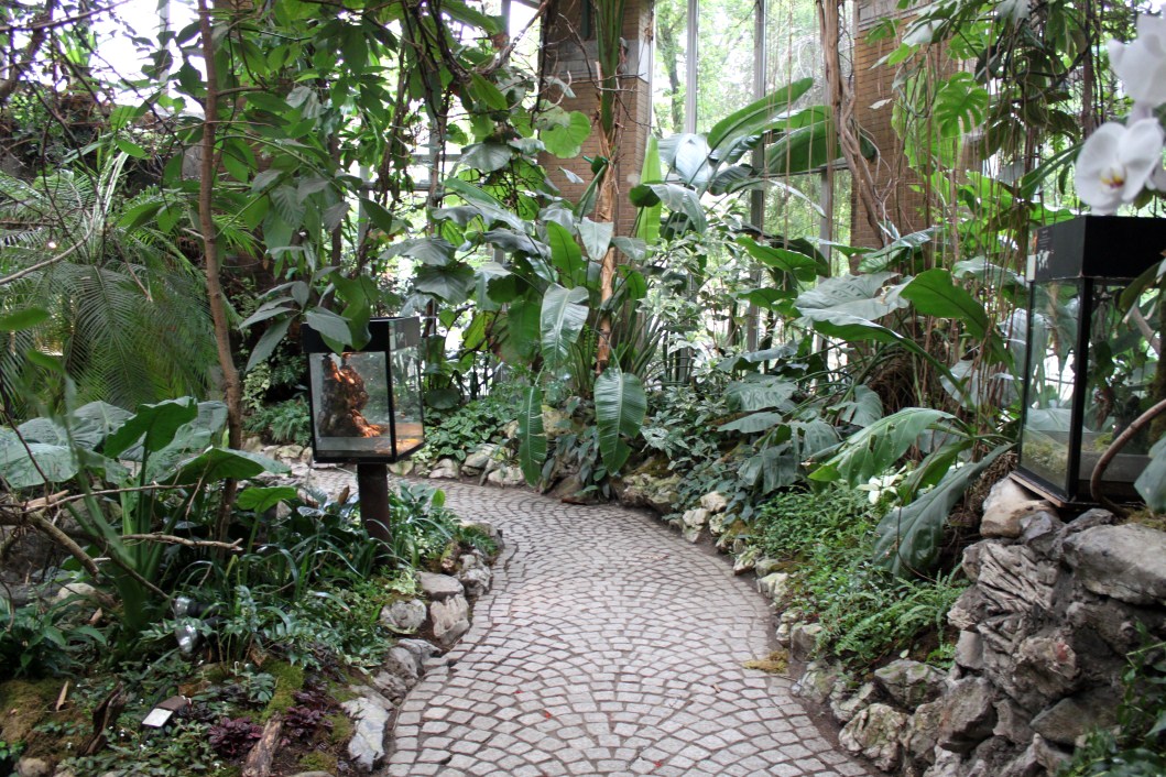 ZOO Antwerpen - Winter Garden