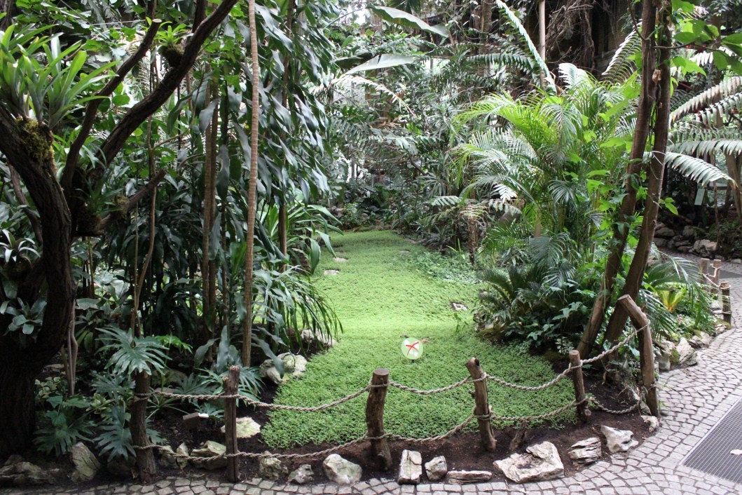 ZOO Antwerpen - Winter Garden
