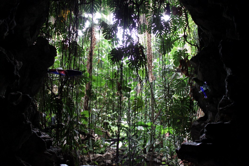 ZOO Antwerpen - Winter Garden