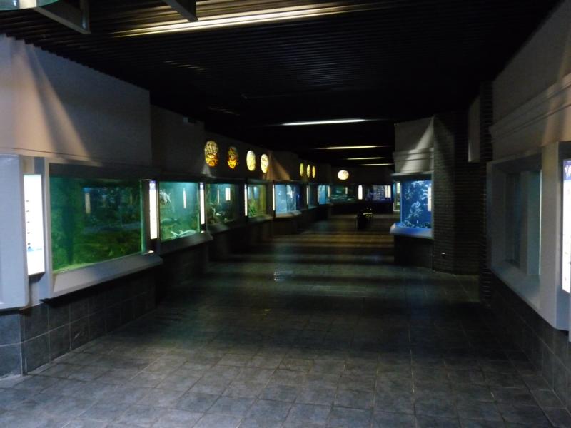 Zoo-Aquarium Berlin