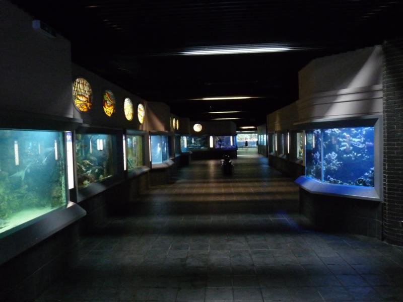 Zoo-Aquarium Berlin