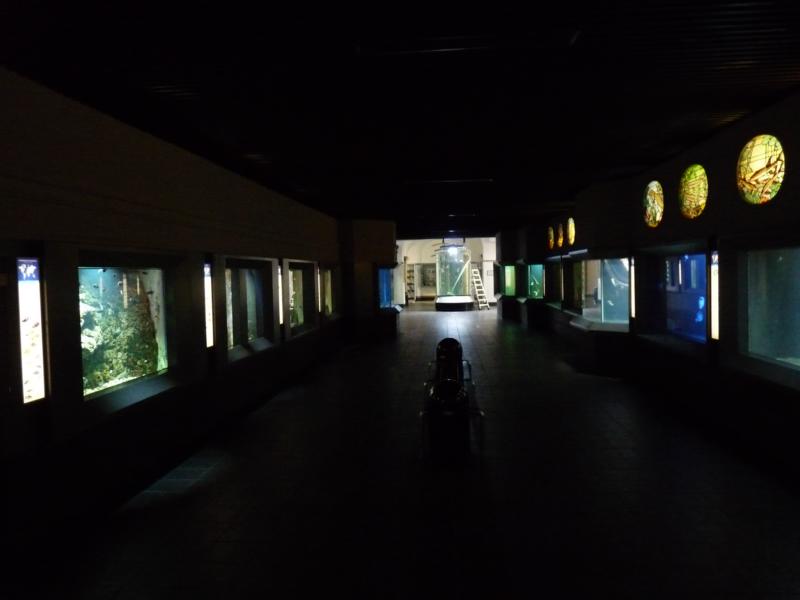 Zoo-Aquarium berlin