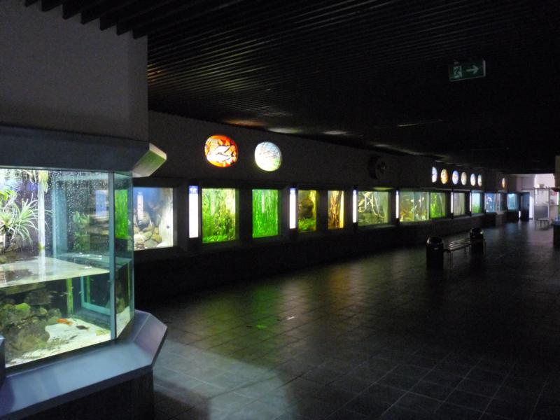 Zoo-Aquarium Berlin