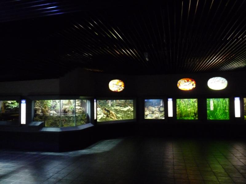 Zoo-Aquarium Berlin