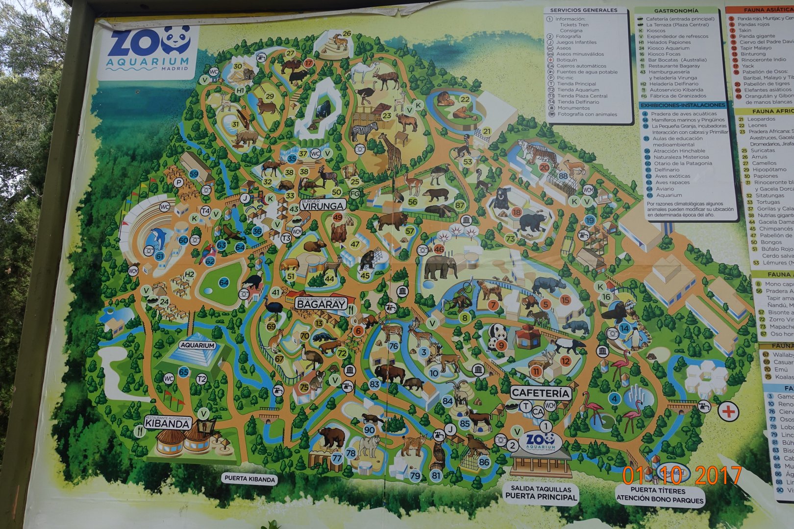 Zoo Aquarium de Madrid 1.10.17