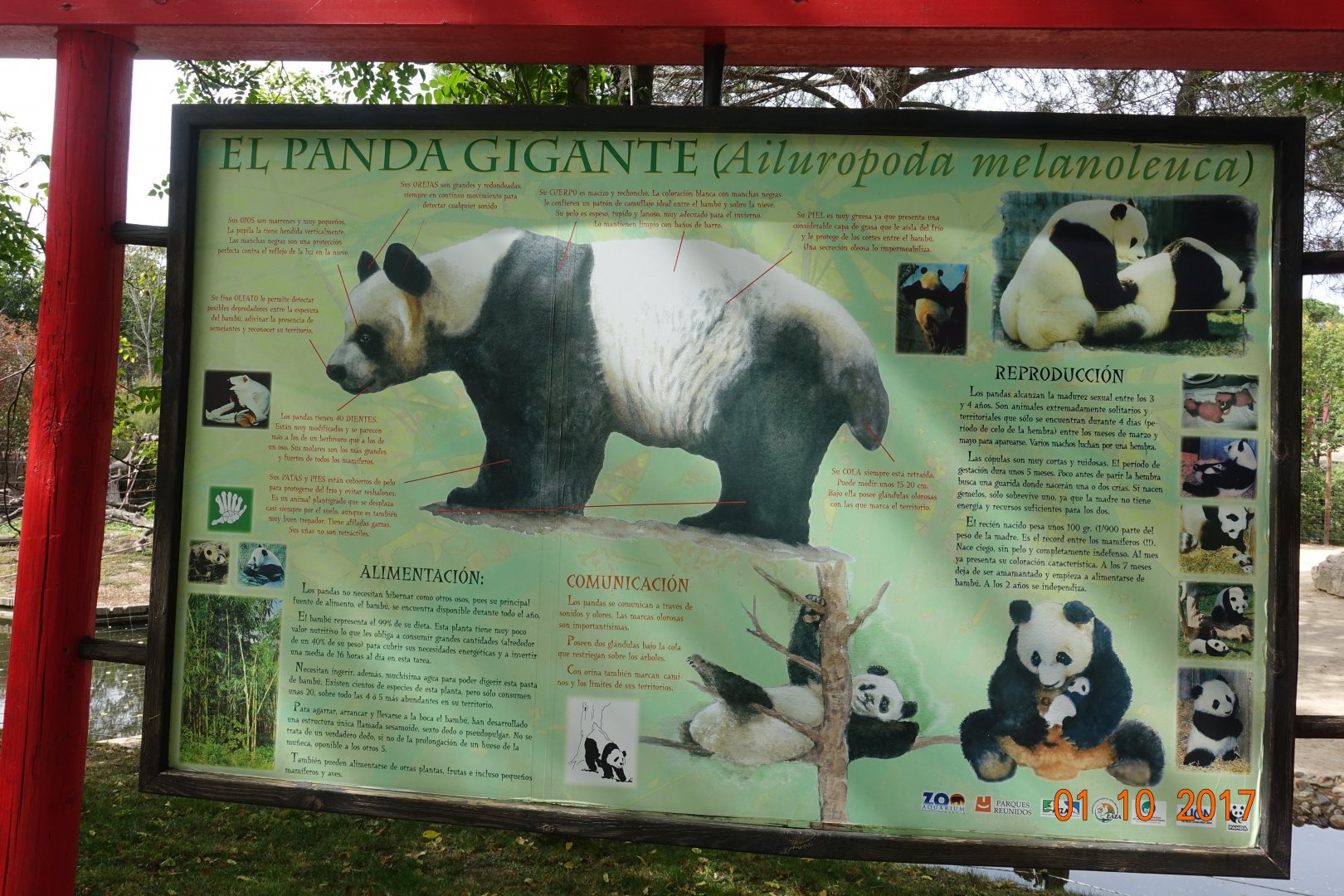 Zoo Aquarium de Madrid 1.10.17