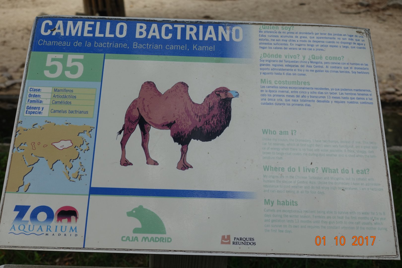 Zoo Aquarium de Madrid 1.10.17