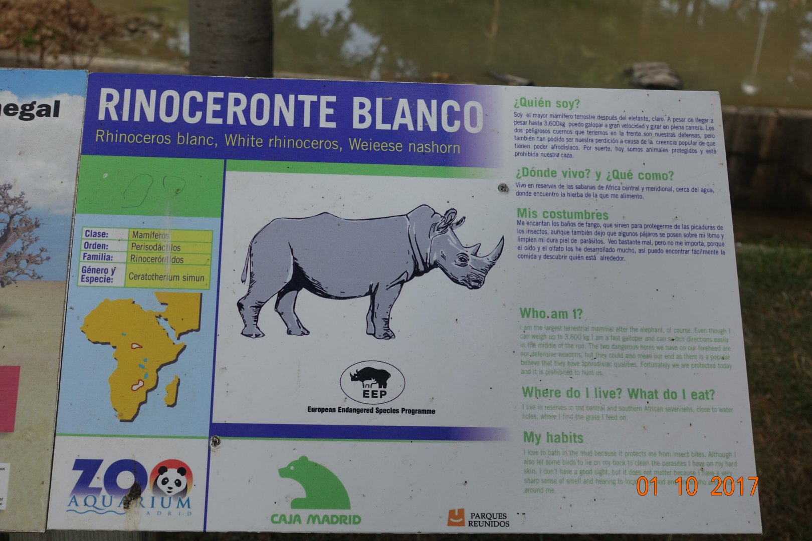 Zoo Aquarium de Madrid 1.10.17