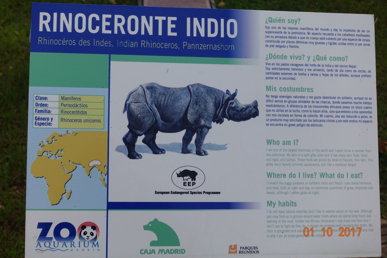 Zoo Aquarium de Madrid 1.10.17