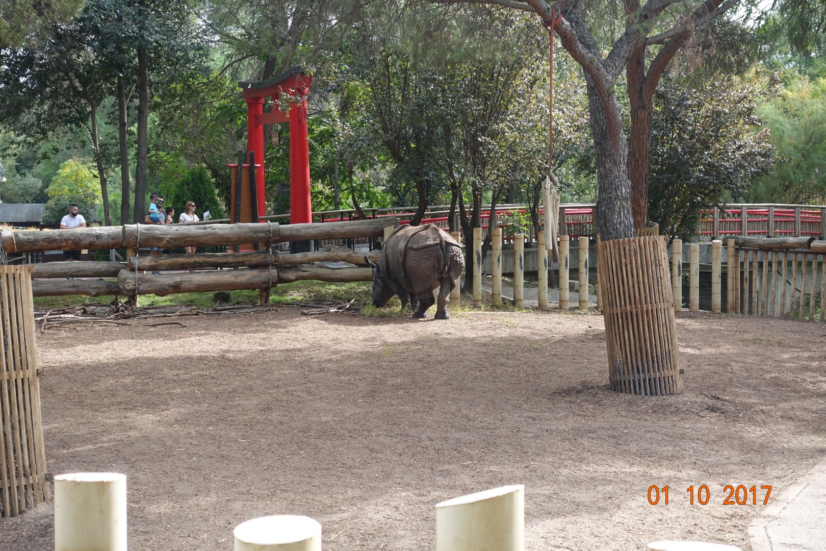 Zoo Aquarium de Madrid 1.10.17
