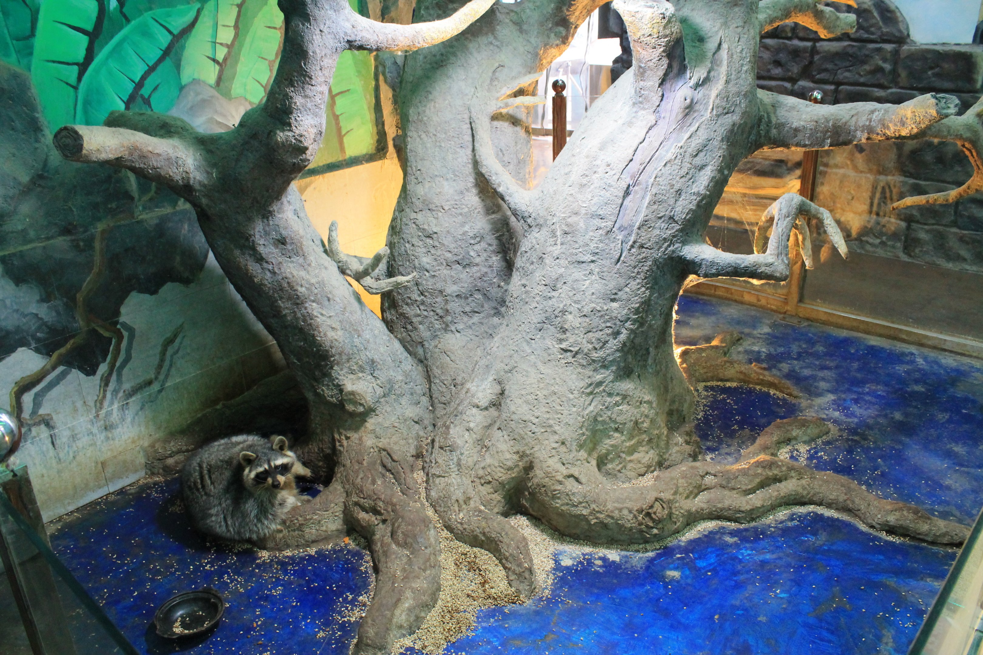 Zoo area at Fantasy Aquarium, Xi'an