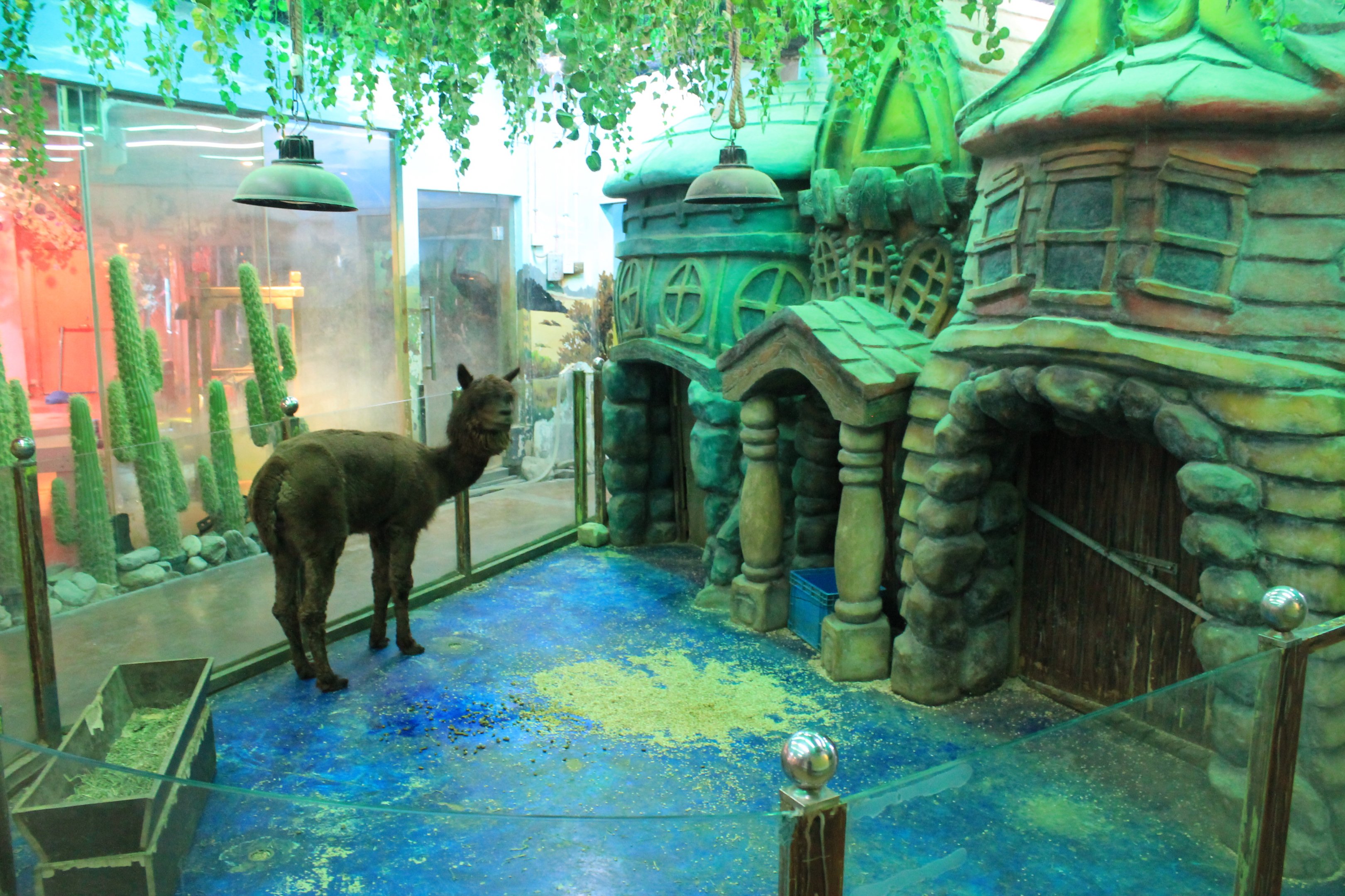 Zoo area at Fantasy Aquarium, Xi'an