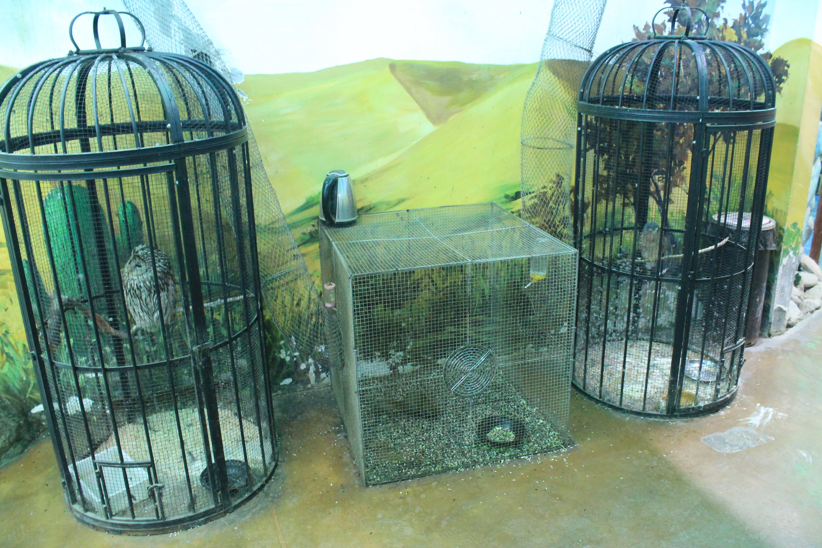 Zoo area at Fantasy Aquarium, Xi'an