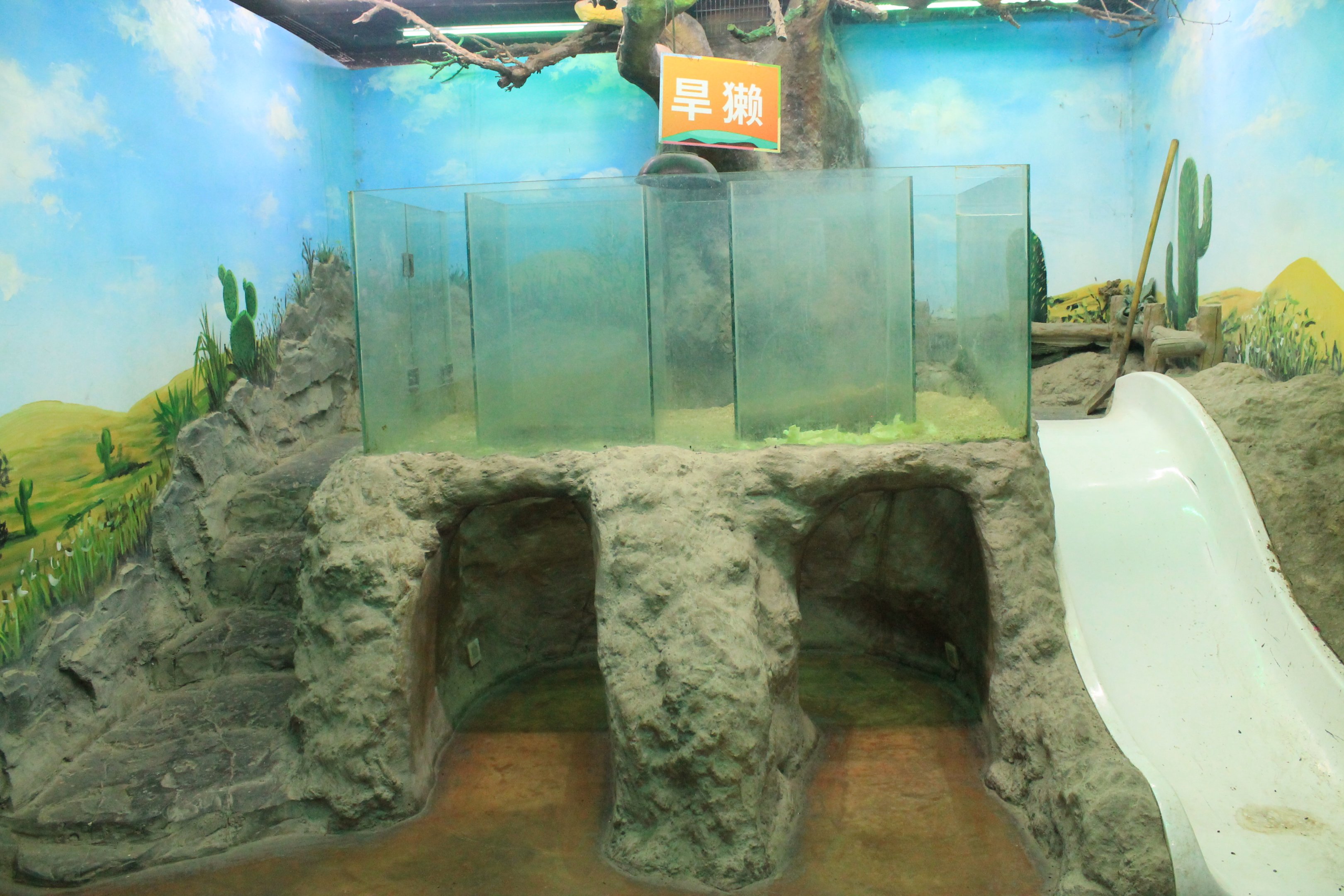 Zoo area at Fantasy Aquarium, Xi'an