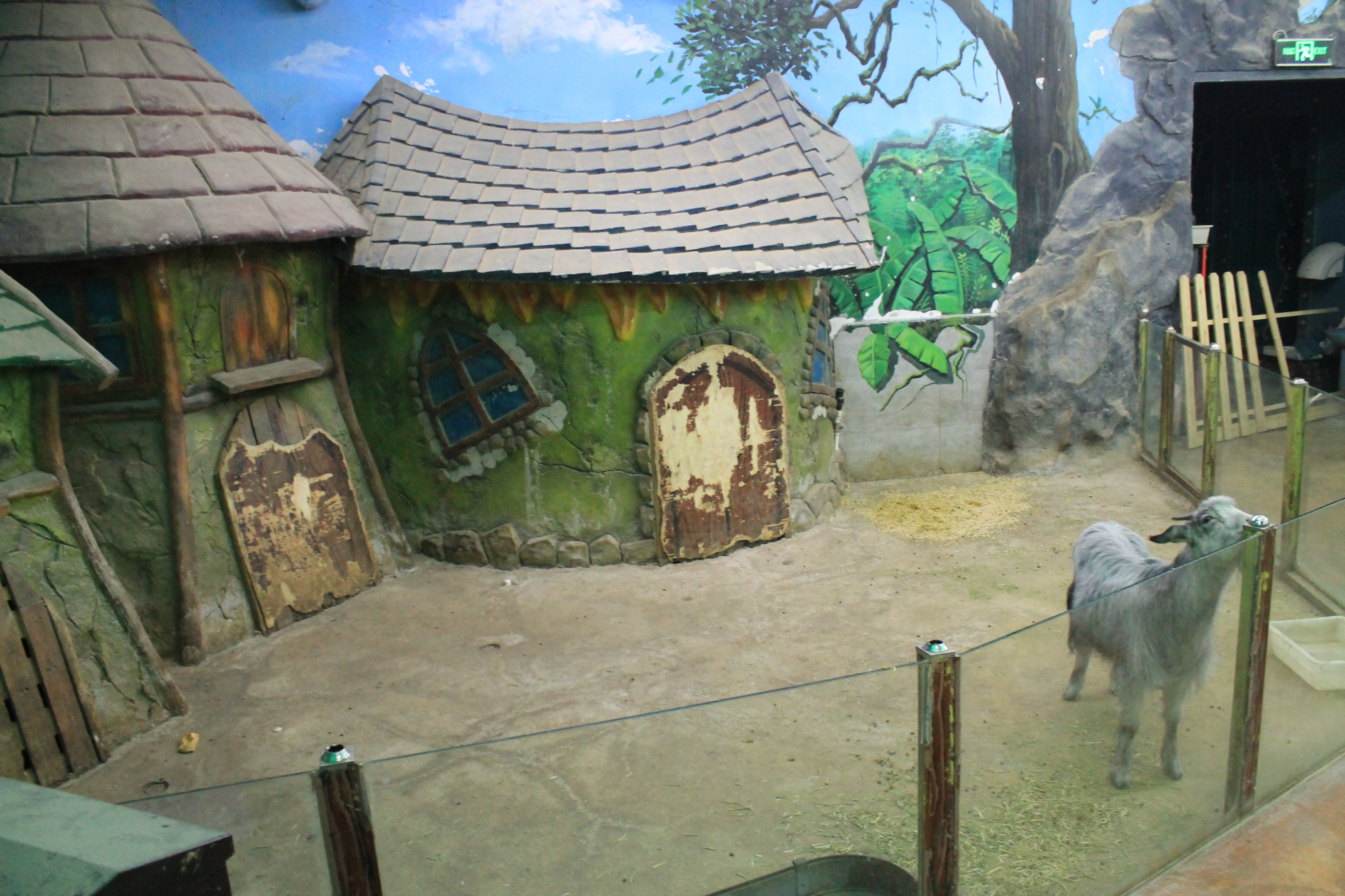 Zoo area at Fantasy Aquarium, Xi'an