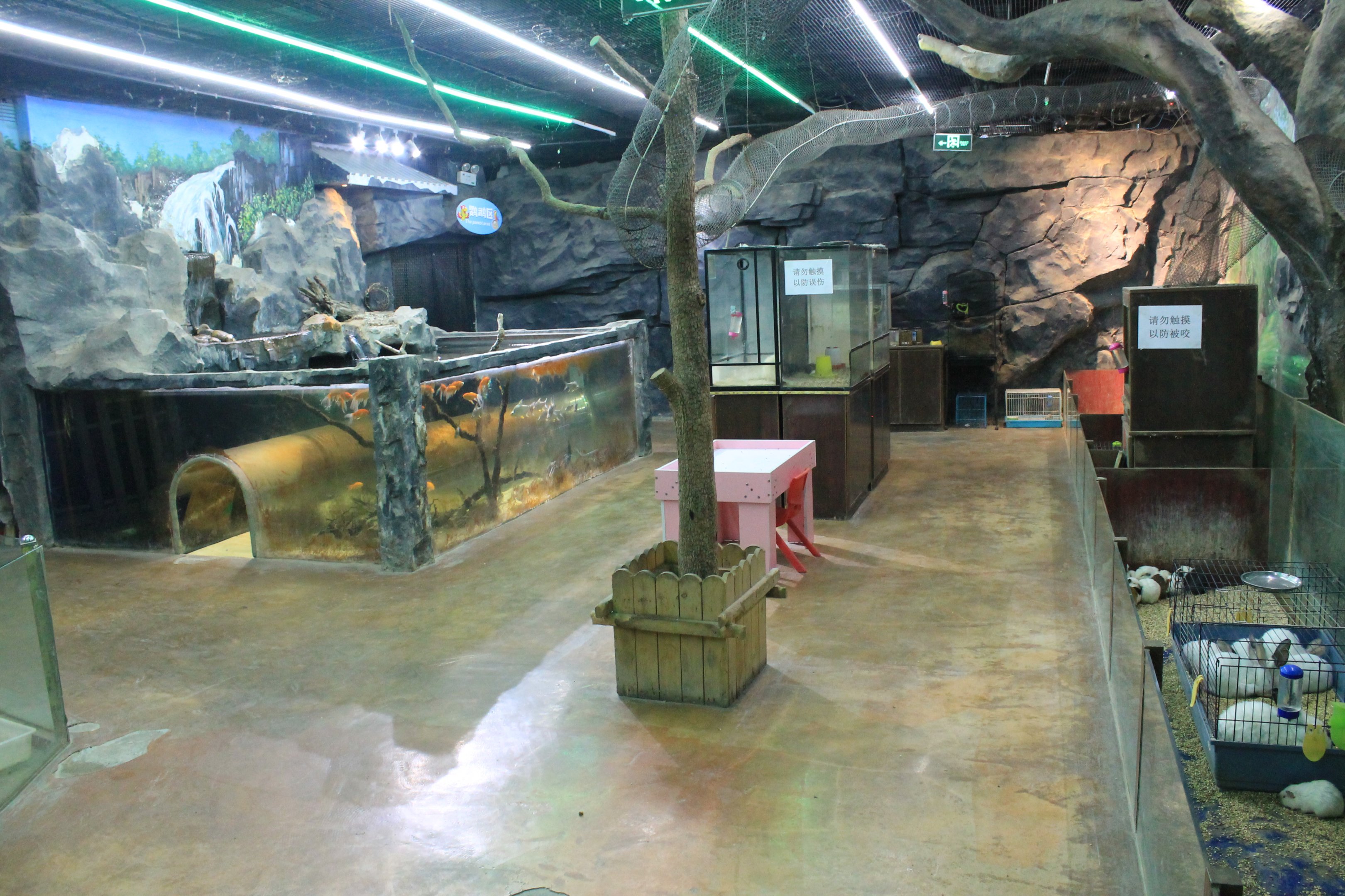 Zoo area at Fantasy Aquarium, Xi'an