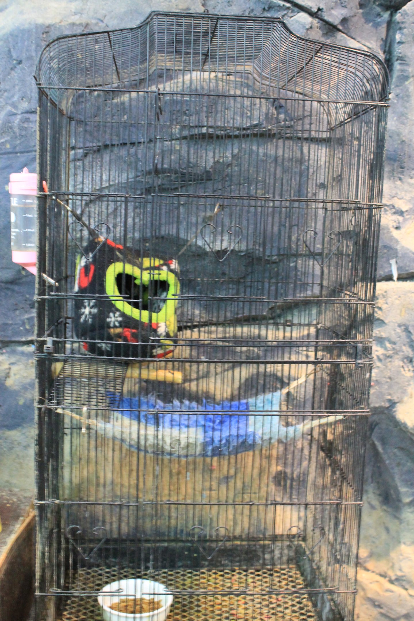 Zoo area at Fantasy Aquarium, Xi'an