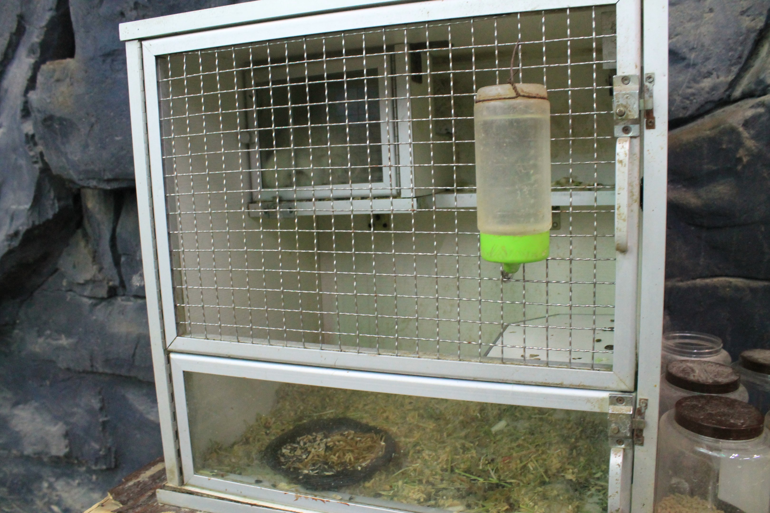 Zoo area at Fantasy Aquarium, Xi'an