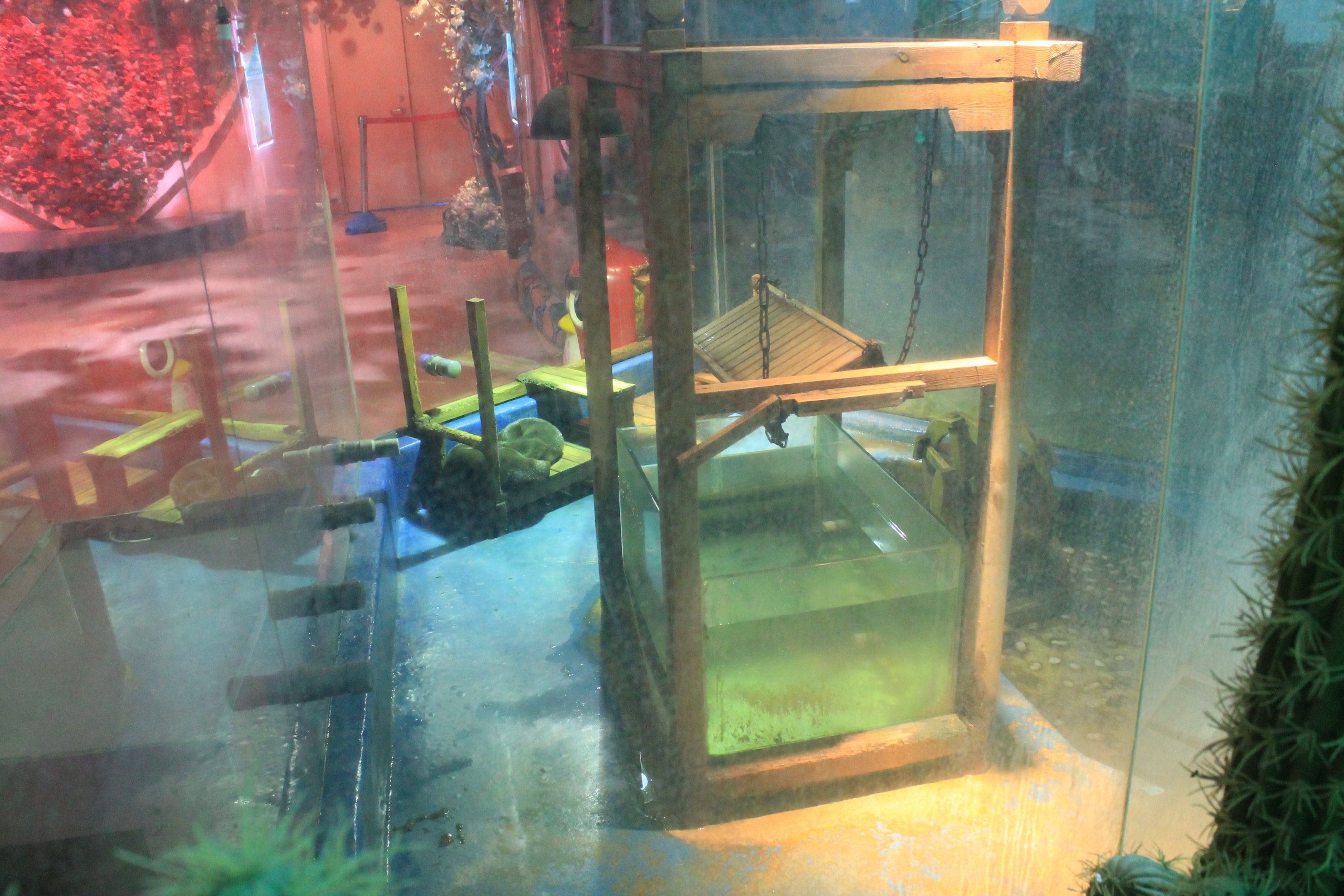 Zoo area at Fantasy Aquarium, Xi'an