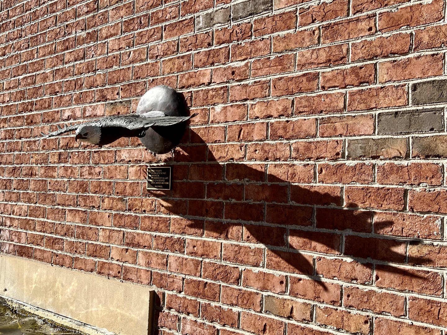 Zoo Art casting a big shadow